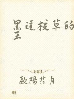 黑道校草的冷公主