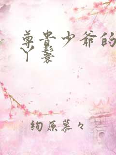 尊贵少爷的大牌丫鬟