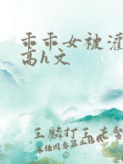 乖乖女被灌满精高h文