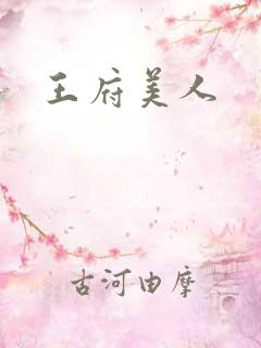 王府美人