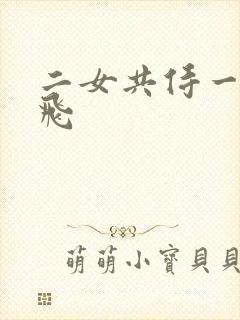 二女共侍一夫双飞