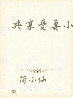 共享爱妻小说