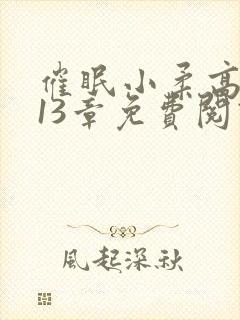 催眠小柔高达第13章免费阅读