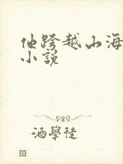 他跨越山海而来小说