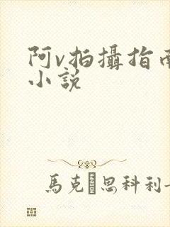 阿v拍摄指南说小说