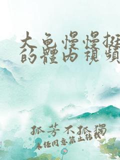 大龟慢慢挺进我的体内视频