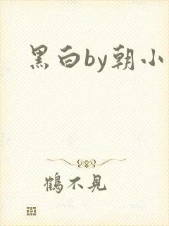 黑白by朝小诚