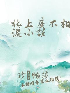 北上广不相信眼泪小说