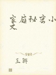 家庭秘密小说全文