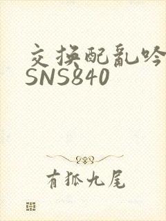 交换配乱吟粗大SNS840