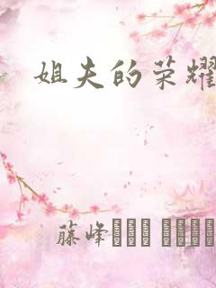 姐夫的荣耀续集