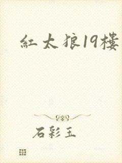 红太狼19楼