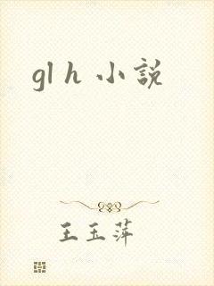 gl h 小说