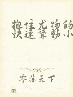 抱住尤物的翘臀快速耸动小说