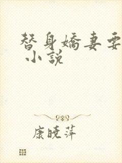 替身娇妻要离婚 小说