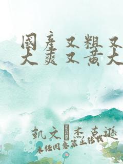 国产又粗又猛又大爽又黄大爷