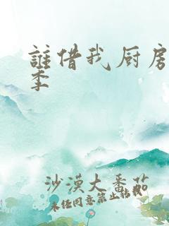 谁借我厨房第三季