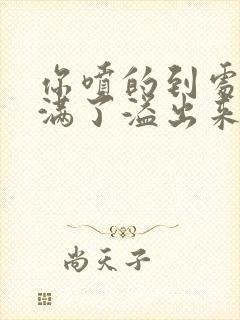 你喷的到处都是满了溢出来了