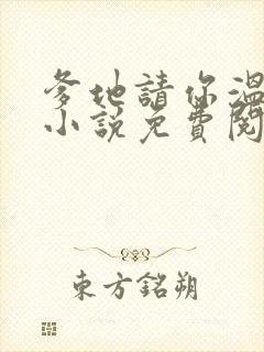 爹地请你温柔点小说免费阅读