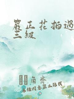 严正花拍过什么三级