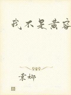 我不是黄容