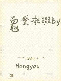 白璧微瑕by连翘