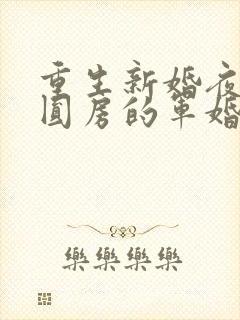 重生新婚夜正在圆房的军婚小说