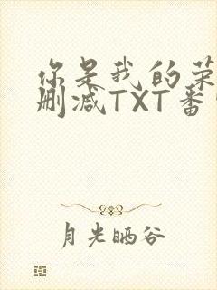你是我的荣耀未删减TXT番外