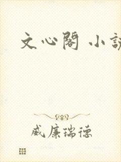 文心阁 小说