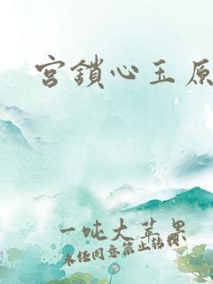 宫锁心玉原著