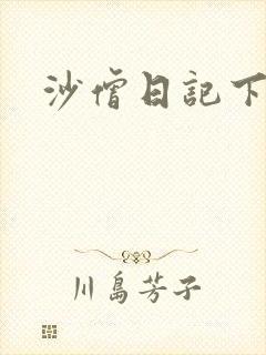 沙僧日记下载