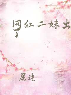 网红二妹出啥事了