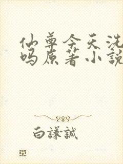 仙尊今天洗白了吗原著小说