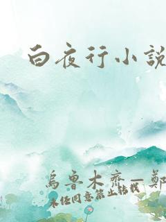 白夜行小说下载
