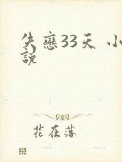 失恋33天 小说