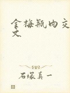 金梅瓶肉交白话文