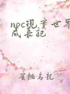 npc现实世界成长记