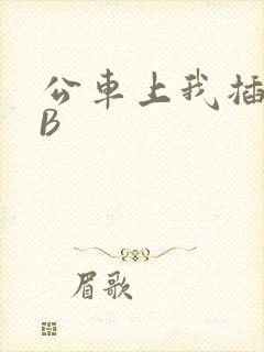 公车上我插上骚B