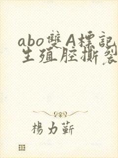 abo双A标记生殖腔撕裂