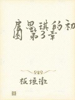 房思琪的初恋乐园 第3章