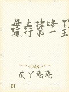 母上攻略 竹影随行第一主板