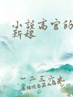 小说高官的暗夜新娘