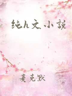 纯h文小说