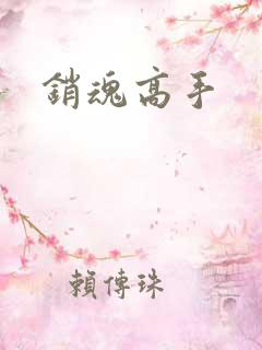销魂高手
