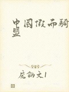 中国假面骑士联盟