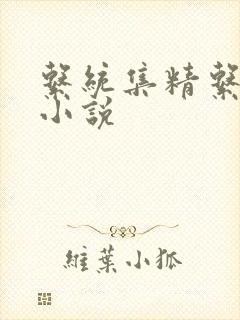 系统集精系统 小说