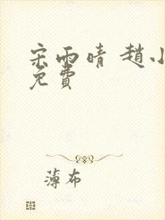 宋雨晴 赵小刚免费