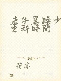 老牛暴躁少女的更新时间