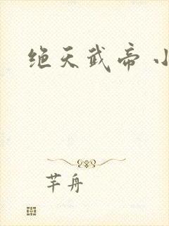 绝天武帝 小说