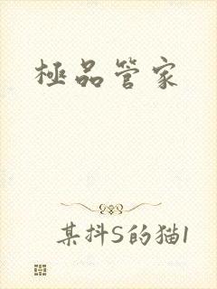 极品管家